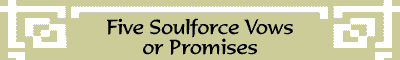 Five Soulforce Vows or Promises